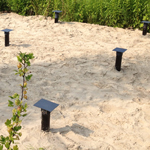 �������� ���� �����������